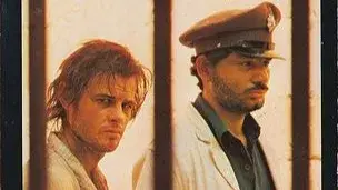 Description of the pic