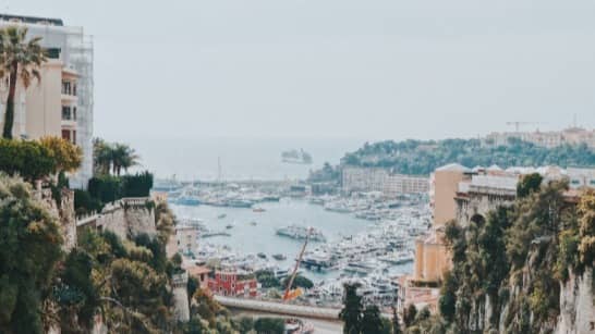 Description of the pic