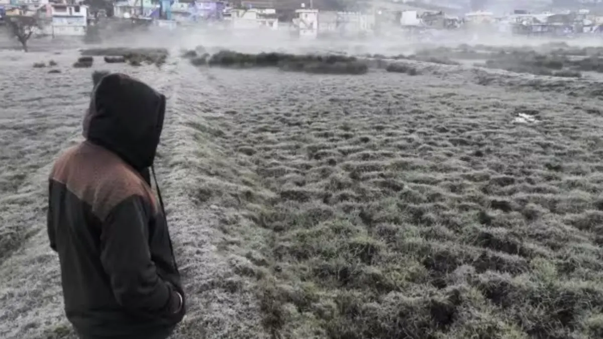 A man at a field covered with frost during a cold winter morning, in Ooty, Tamil Nadu