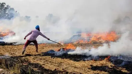 Punjab reports over 1,500 farm fires; Haryana AQI in 'severe', 'very poor' categories