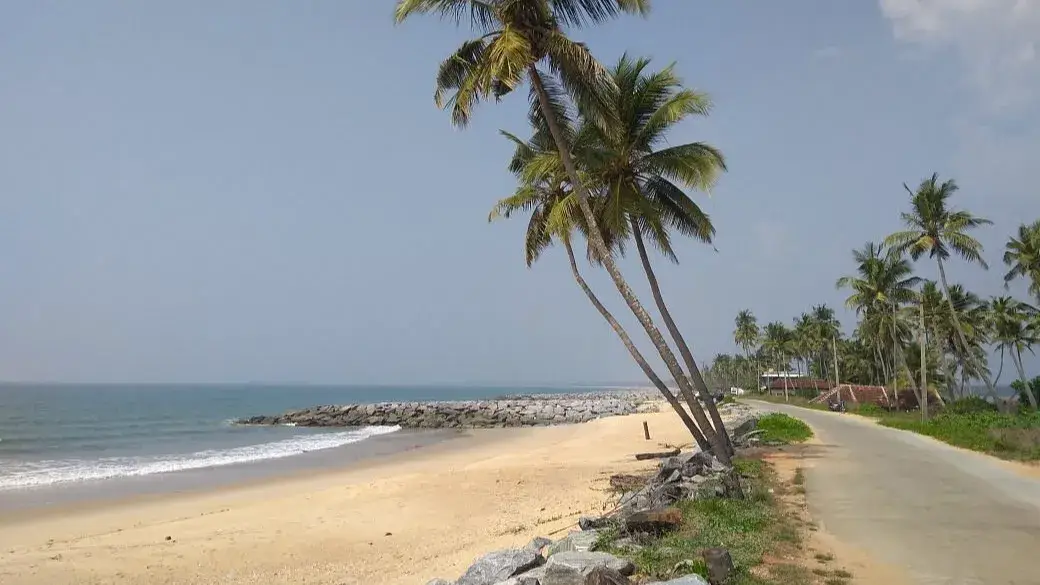 Description of the pic