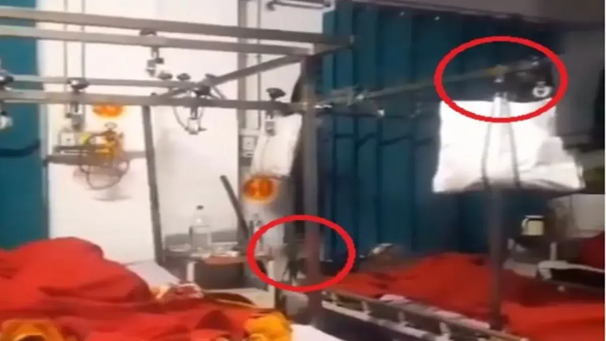 Disturbing video: Rodents run over patients in Rampur, Aligarh hospitals | WATCH Rodents in UP hospitals