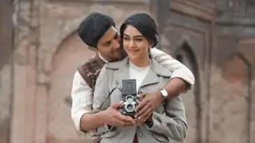 Description of the pic