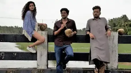 Description of the pic