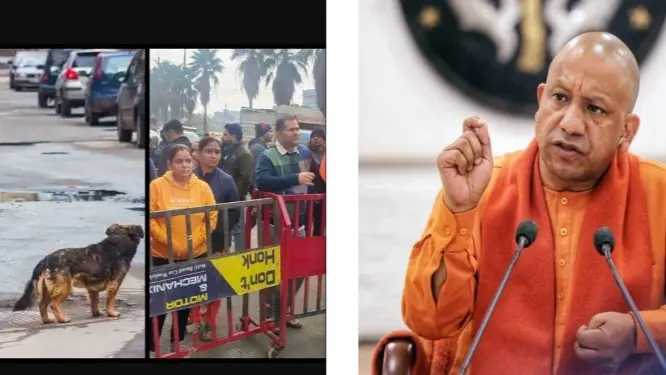Noida: CM Yogi Adityanath Addresses Problem Of Stray Dogs in Residential Areas - Details Inside Noida: CM Yogi Adityanath Addresses Problem Of Stray Dogs in Residential Areas