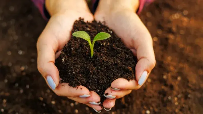 World Soil Day 2023