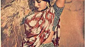 Description of the pic