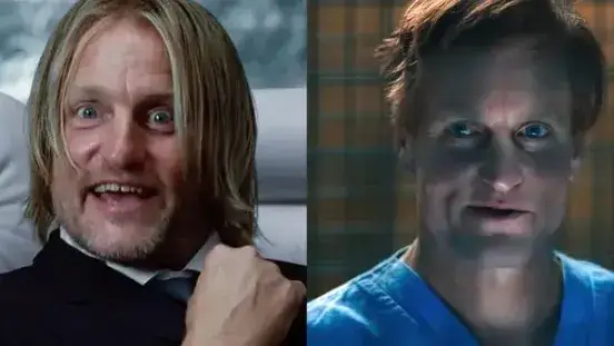 Description of the pic