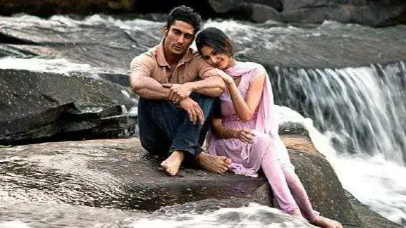 Description of the pic