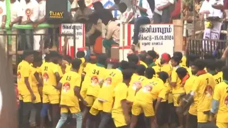 WATCH | Excitement Builds as Bull-Taming Festival, Jallikattu Begins Jallikattu