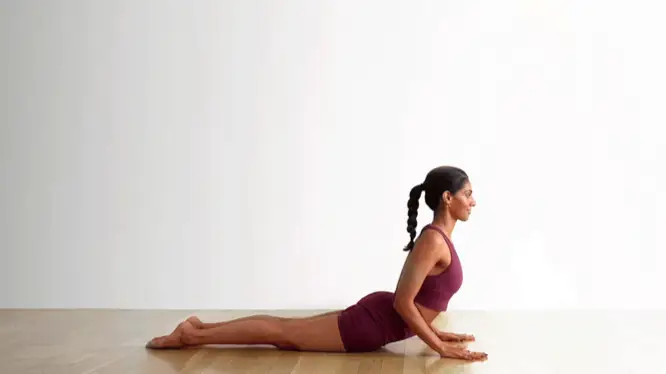 Description of the pic