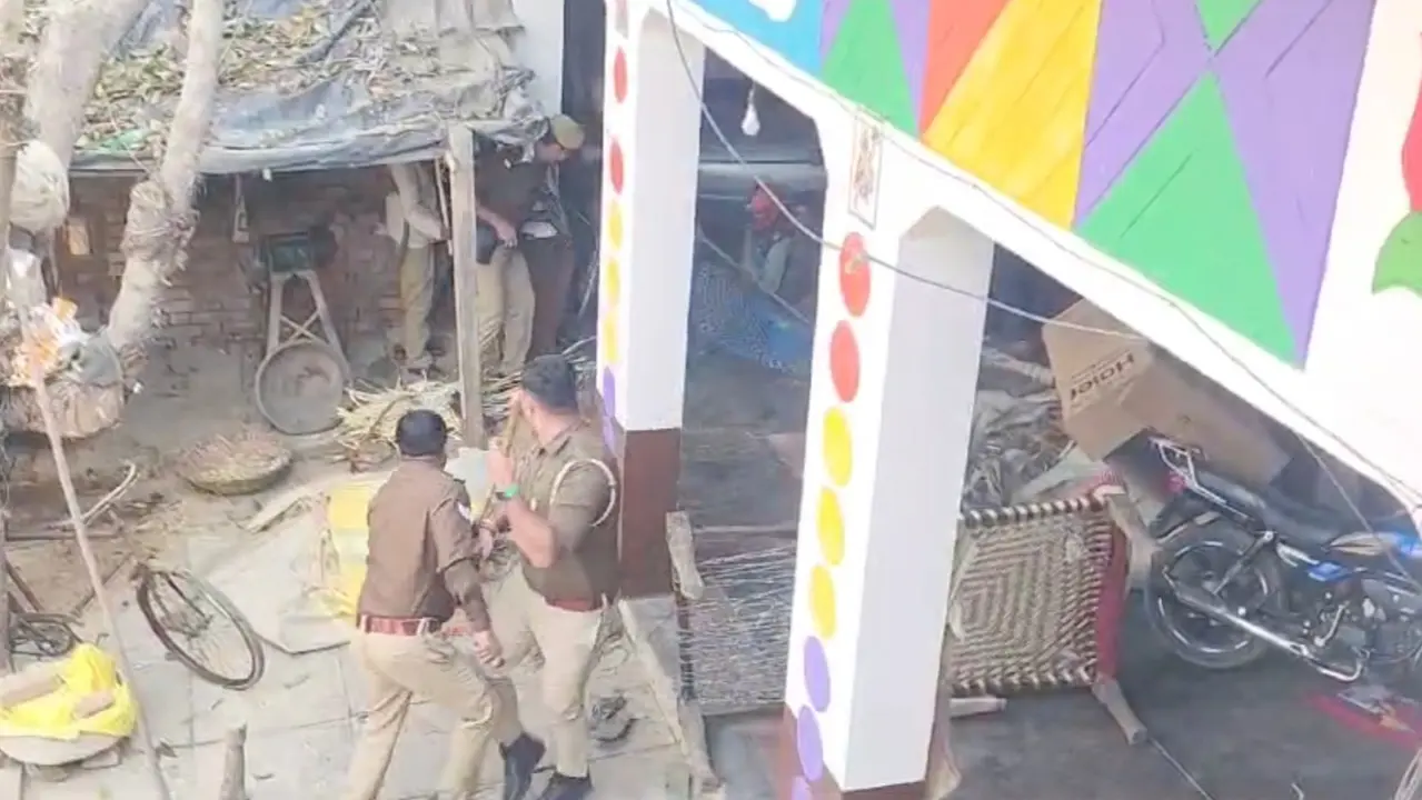 Leopard killed during rescue operation in Uttar Pradesh's Sambhal district