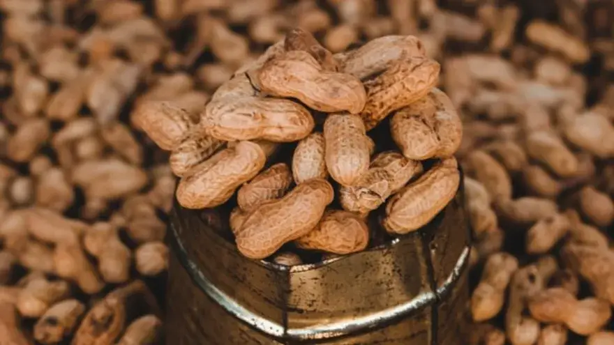 Description of the pic