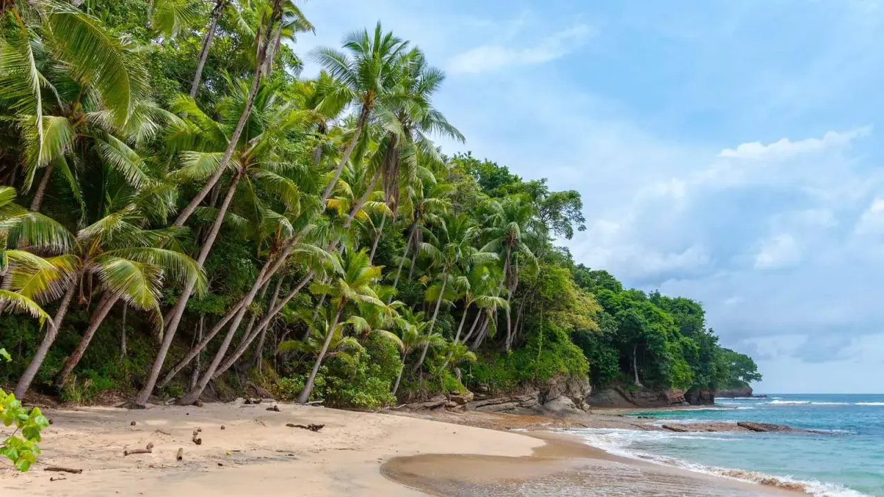 Explore Indian Beaches: Gahirmatha to Shivrajpur, pick these hidden seasides for your next trip Hidden beaches of India