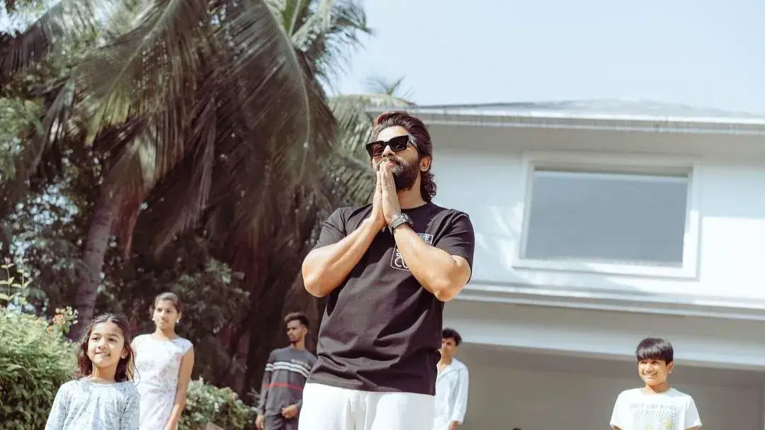 Description of the pic