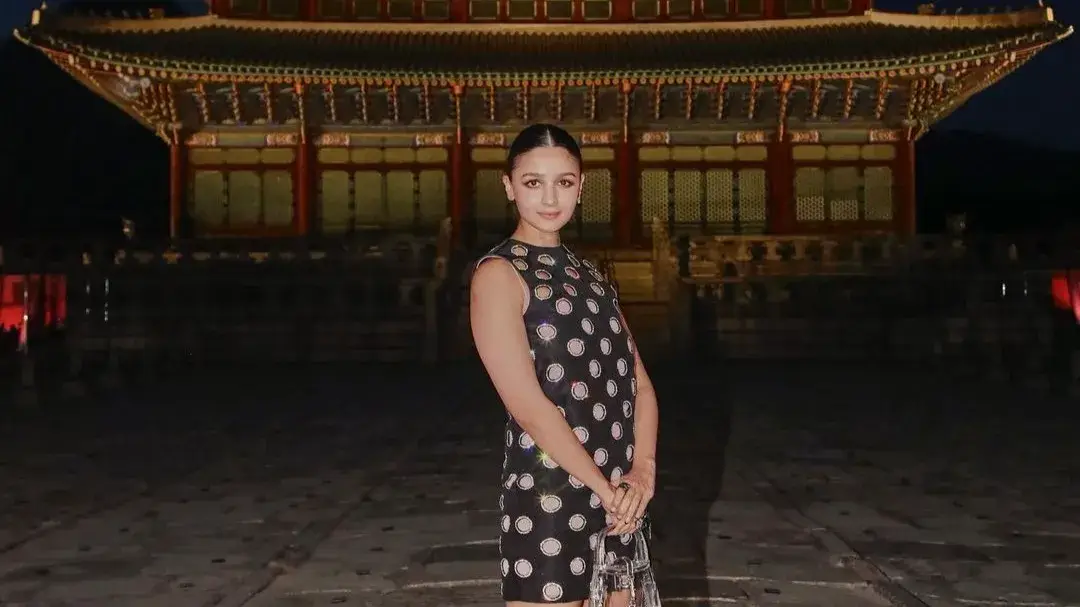 Description of the pic