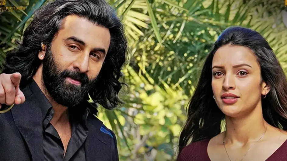 Description of the pic