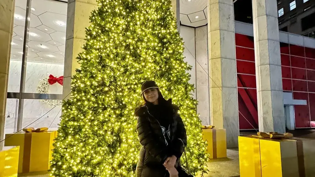 Description of the pic