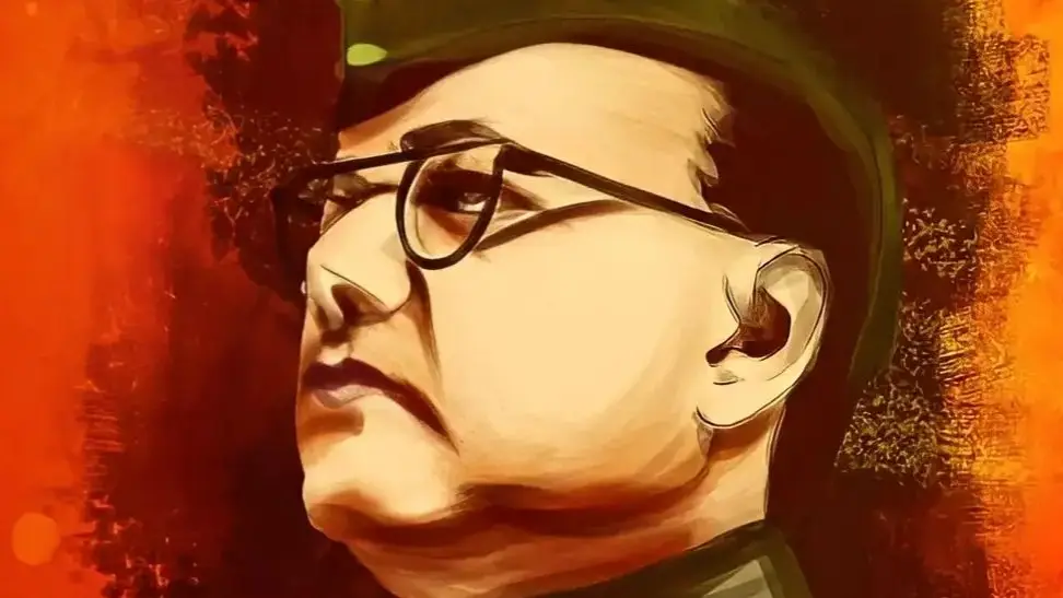 Description of the pic