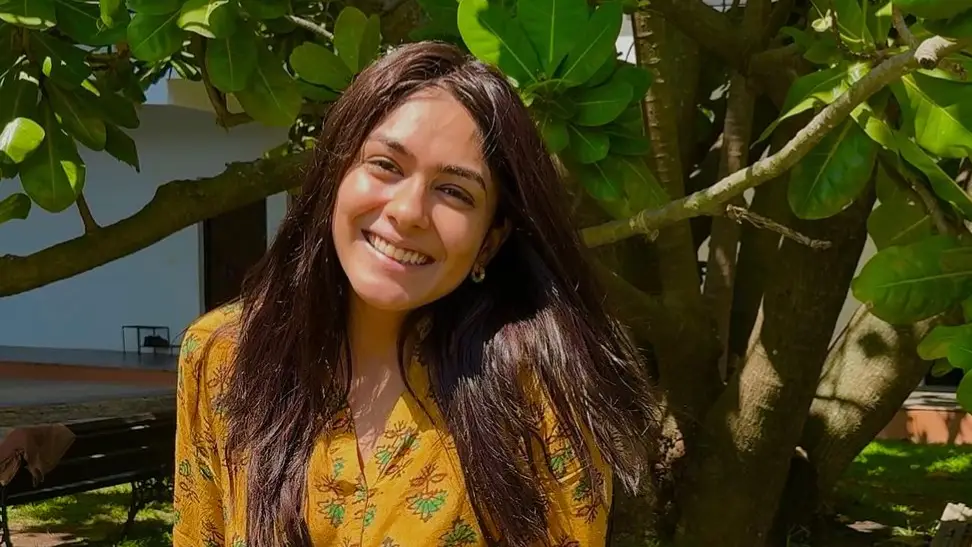 Description of the pic