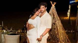 Description of the pic