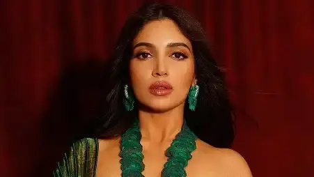 Description of the pic