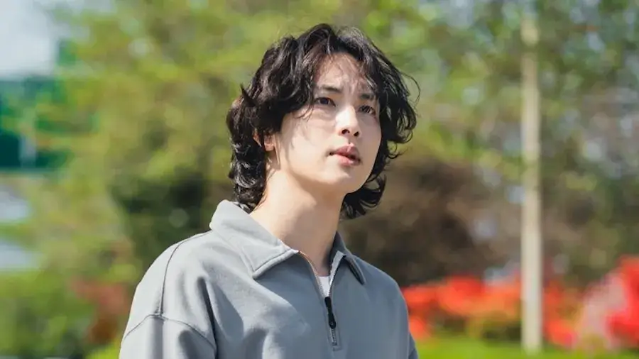 Description of the pic