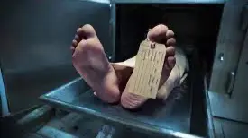 The suspects "falsified documentation to get the bodies from hospitals and retirement homes in order to later sell them to universities for research for 1,200 ($1,300) per corpse," a police statement said.