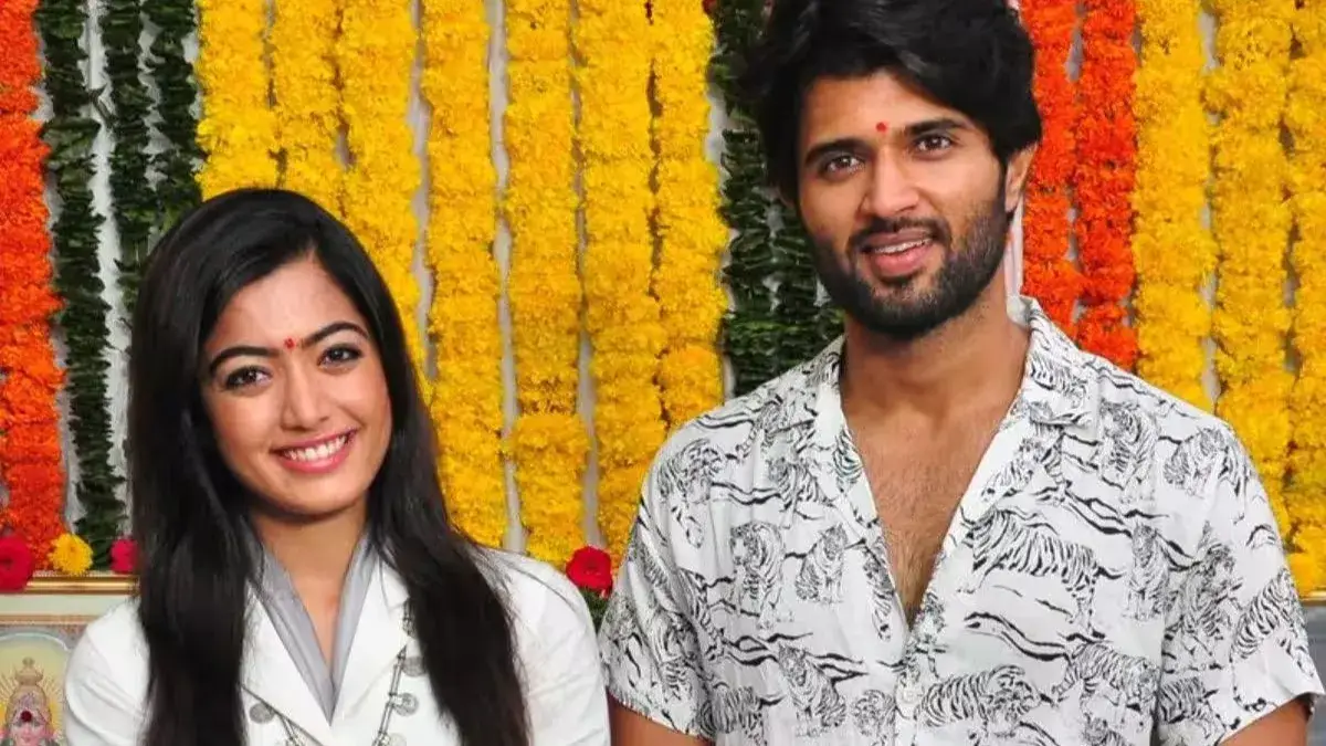 Description of the pic