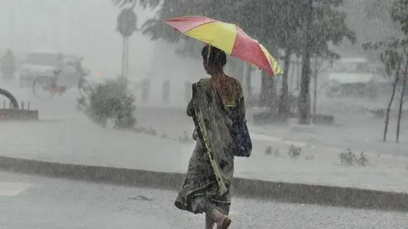 IMD Weather Forecast: Check updates