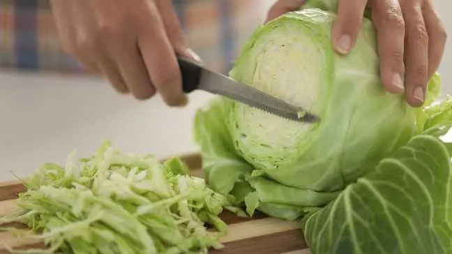 8 Amazing Health Benefits Of Cabbage That You Must Know Cabbage