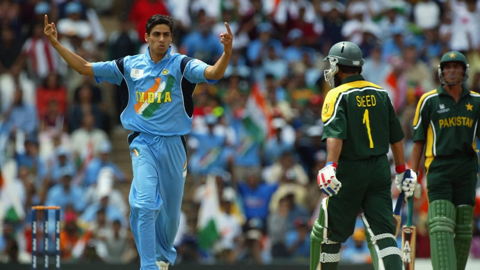 Description of the pic