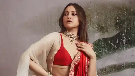 Description of the pic