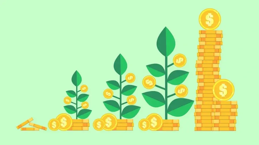 The number of flexi-cap funds in your portfolio should depend on your risk tolerance and investment capacity, whether through lump-sum investments or systematic investment plans.