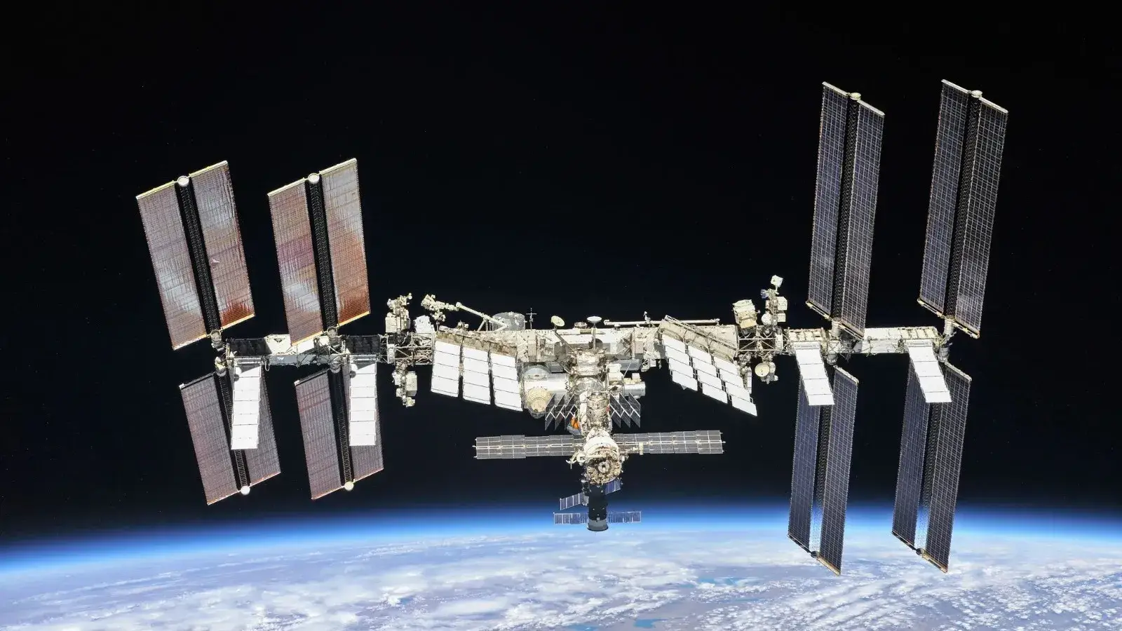 Mouse embryos developed on ISS for the first time | Republic World