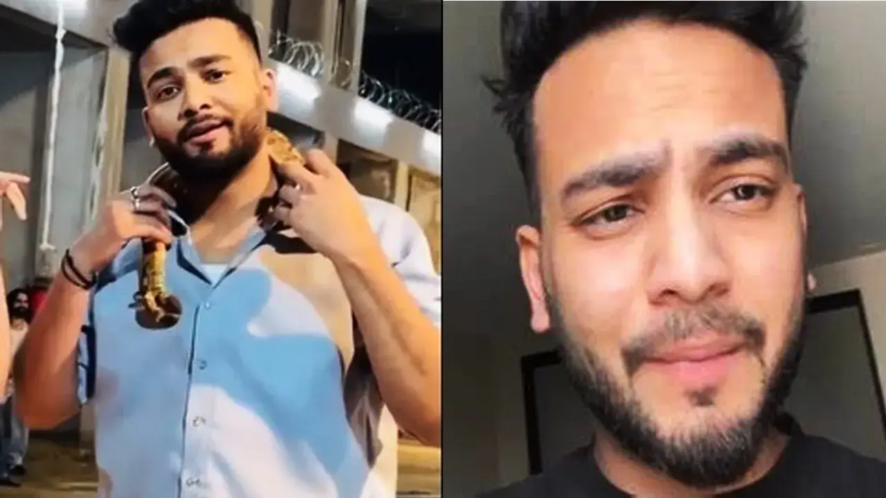 Explained What are snake venom opioids Republic World