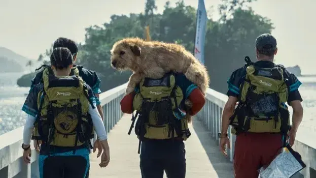 Arthur the King trailer: Mark Wahlberg bonds with furry friend as they embark on daring adventure Arthur the King trailer