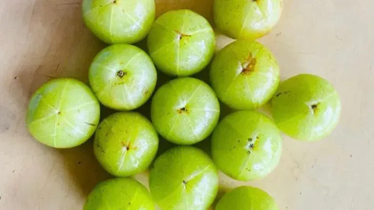 Healthy skin, promoting digestive health: 7 reasons why you should incorporate amla in your diet Amla