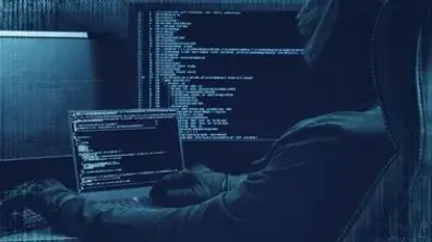 Delhi: Dark Web Drug Cartel Busted, Hydroponic Weed Worth Rs 2.1 Crore Seized dark web