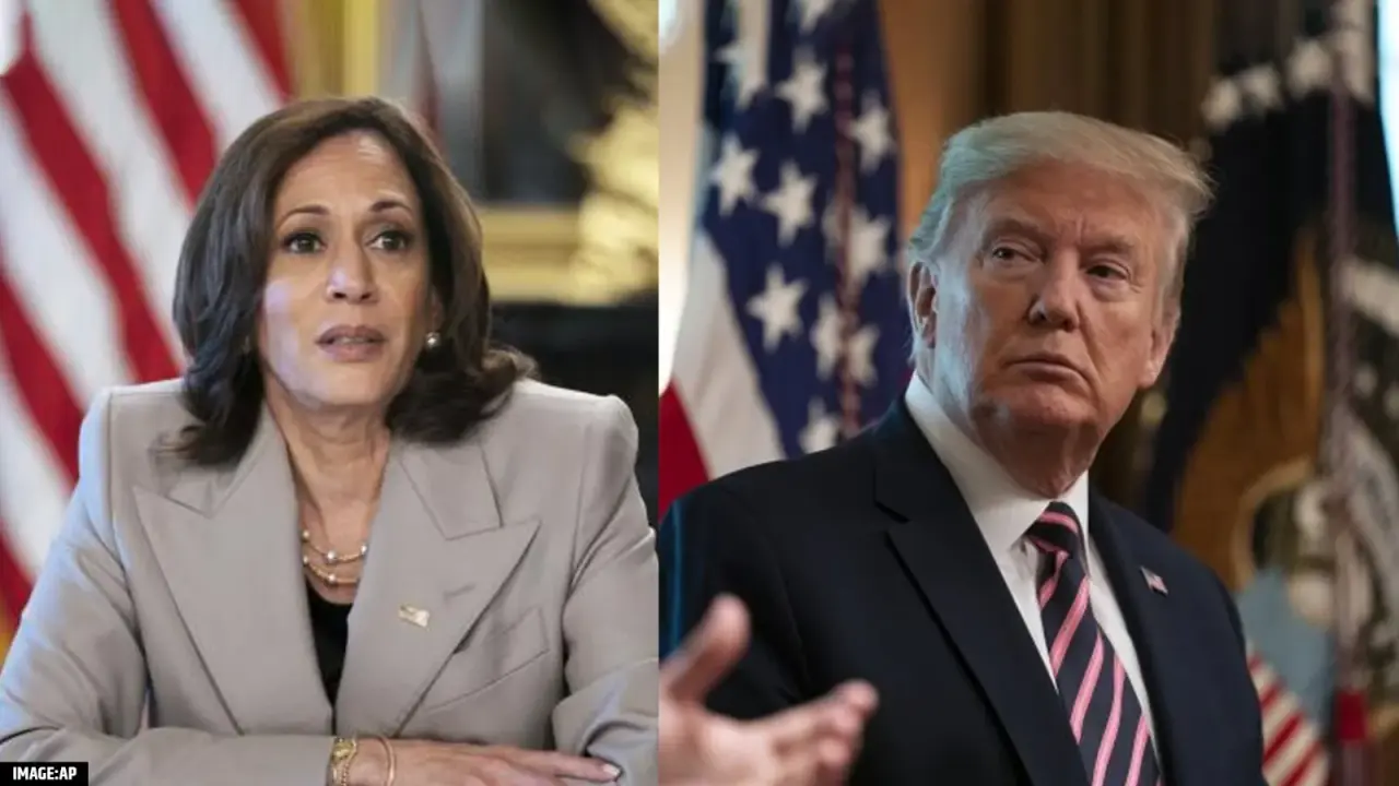 From Biden To Gabbard, Here's What Harris' Past Debates Show Before A Faceoff With Trump From Biden To Gabbard, Here's What Harris' Past Debates Show Before A Faceoff With Trump