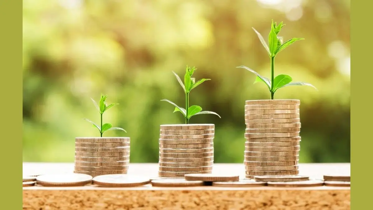 Decoding Business Loan Interest Rates Interest rate for business loan is the price you have to pay to borrow money to run your company.