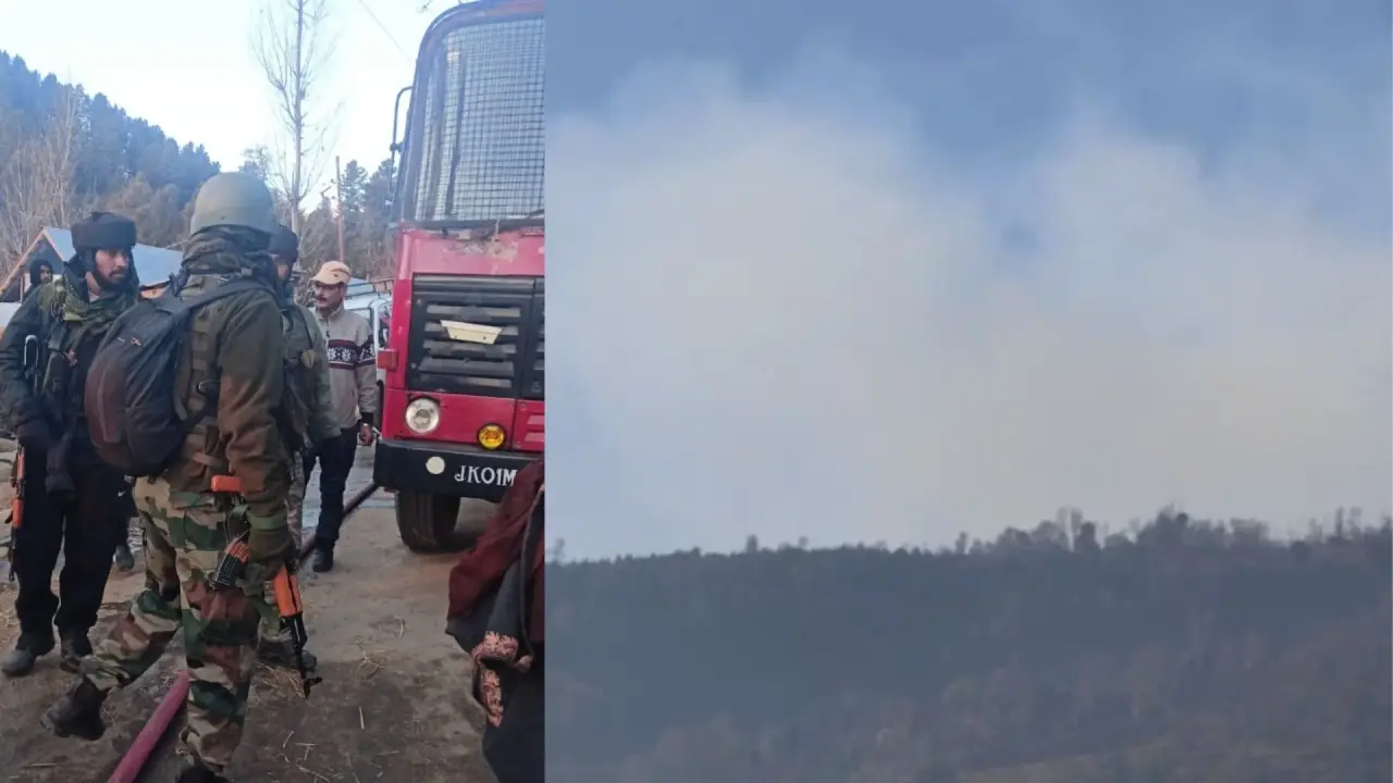 Alert Near LoC: Pakistan 'Deliberately' Sets Poonch Forest on Fire to Aid Terrorist Infiltration Heightened alert near Line of Control as Pakistan set a forest fire in Balakote Sector, Poonch, to aid terrorist infiltration