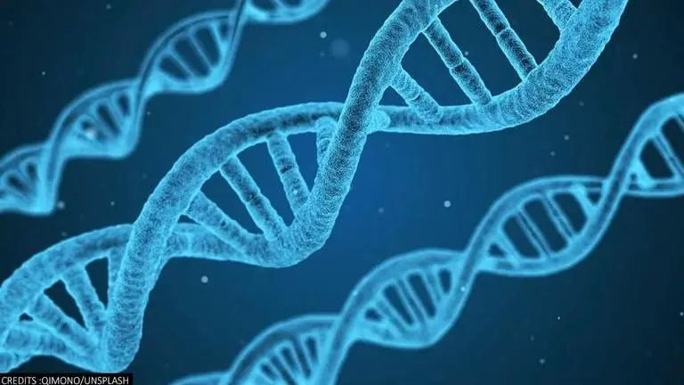 Cancer can now be treated using living cells and synthetic biology, researchers find cancer