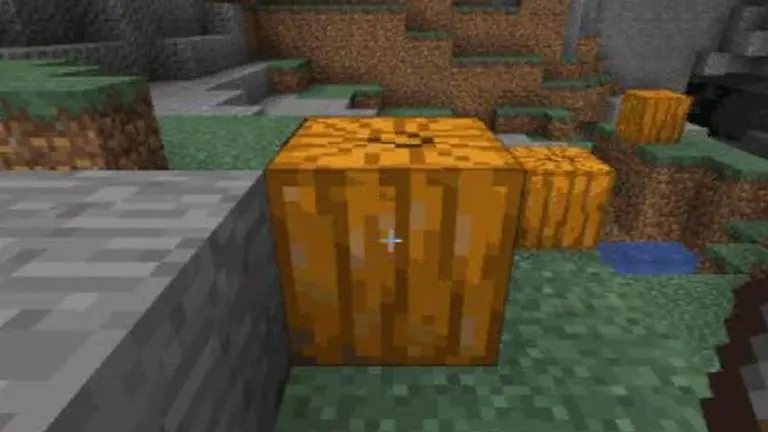 How to carve a Pumpkin in Minecraft? Learn in simple steps here how to carve a pumpkin in minecraft