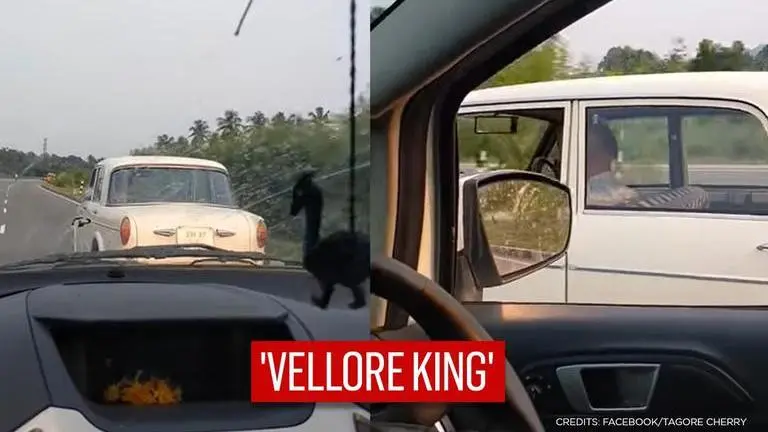 ‘Indian Tesla’: Driverless Fiat with man on passenger seat leaves netizens baffled | WATCH Indian Tesla