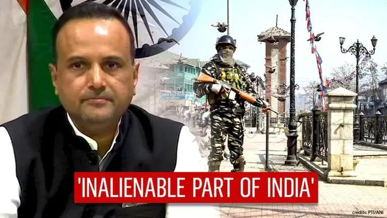 'Develop better understanding before jumping to conclusion': India slams UN remarks on J&K UN Special Rapporteurs Press Release