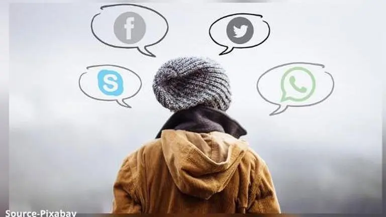 how many turtles do you see