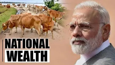 PM Modi launches NADCP, announces vaccination drive for livestock PM Modi