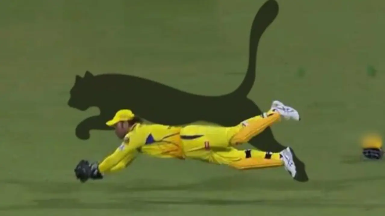 'Thala thinks he is 23': Cheetah-like reflex catch of MS Dhoni will make you say 'Wow, Mahi, Wow' MS Dhoni's brilliant catch