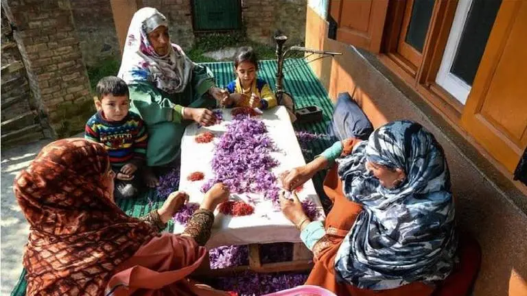 Kashmiri saffron
